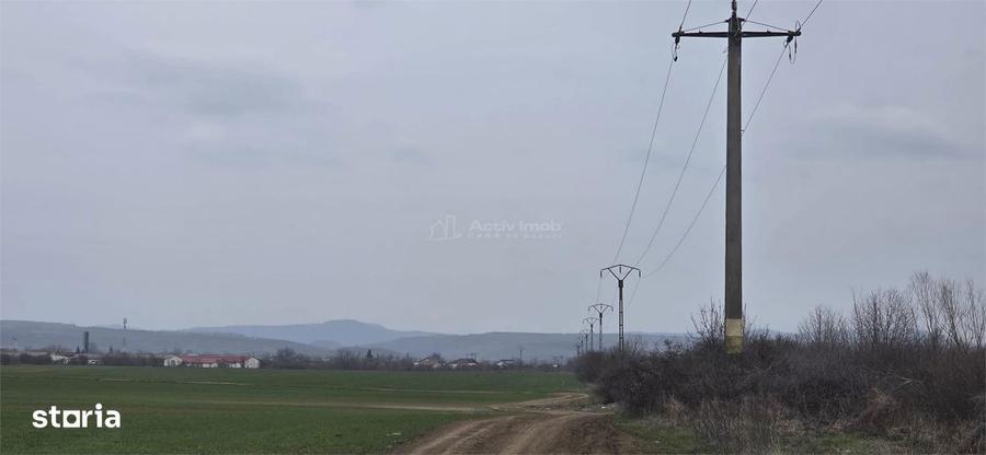 Teren de 7900 mp, în Ulmi
