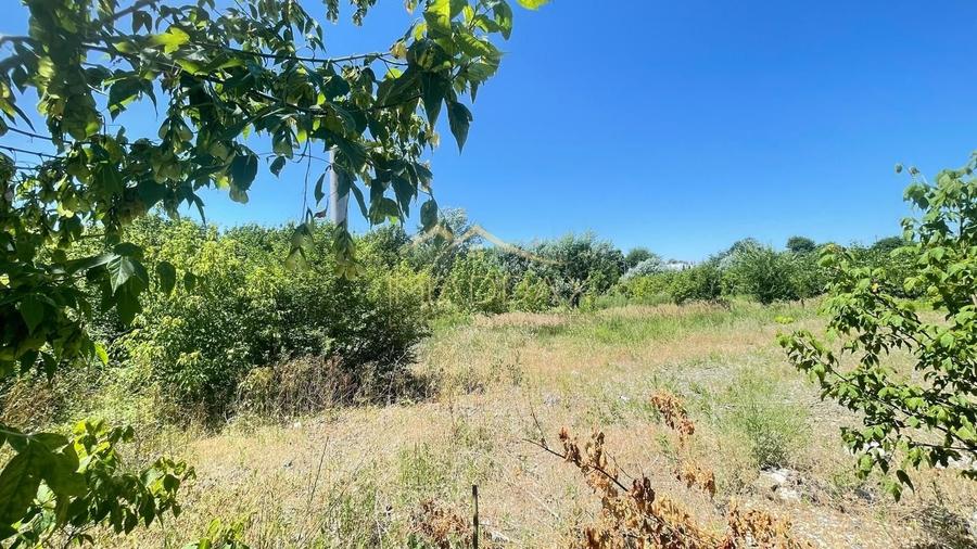 Teren Construcții intravilan de 9850 mp, în Zona Liberă