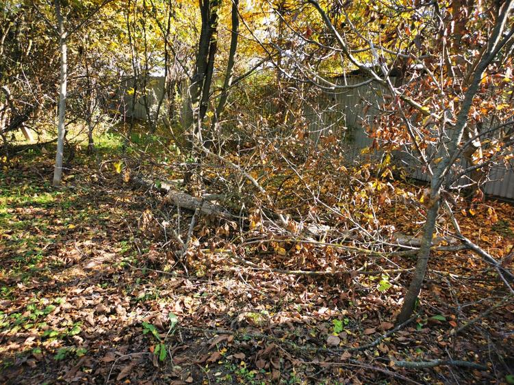 Casă individuală cu 2 camere cu Teren 2500 Mp în Gruiu