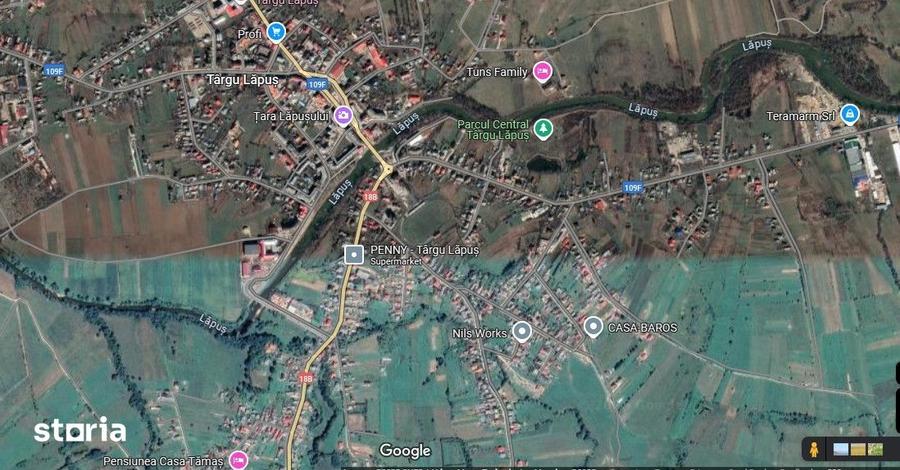 Casă cu 4 camere cu Teren 3800 Mp în Târgu Lăpuș