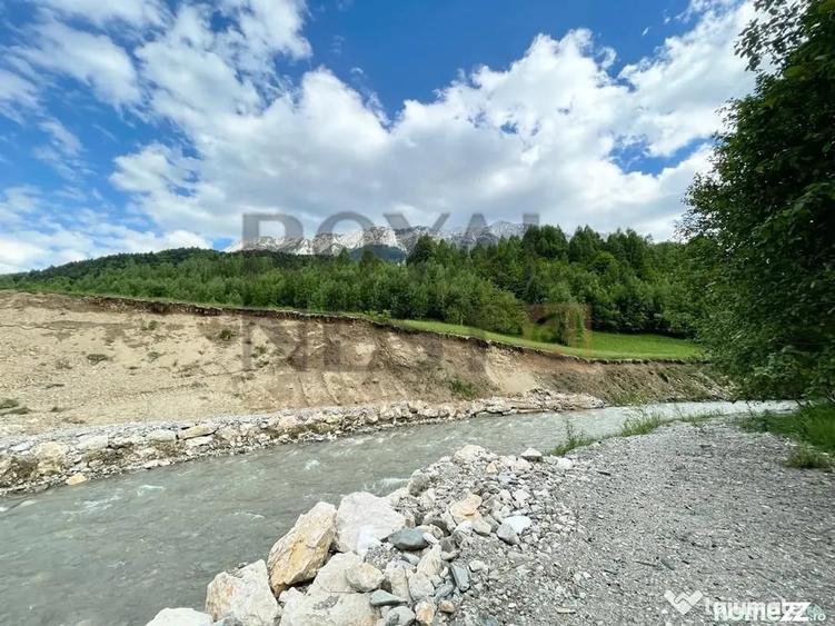 Teren de 12150 mp, în Plaiul Foii