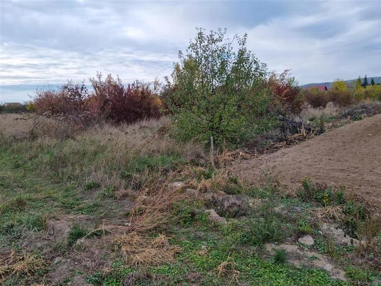 Teren Construcții intravilan de 705 mp, în Oșorhei