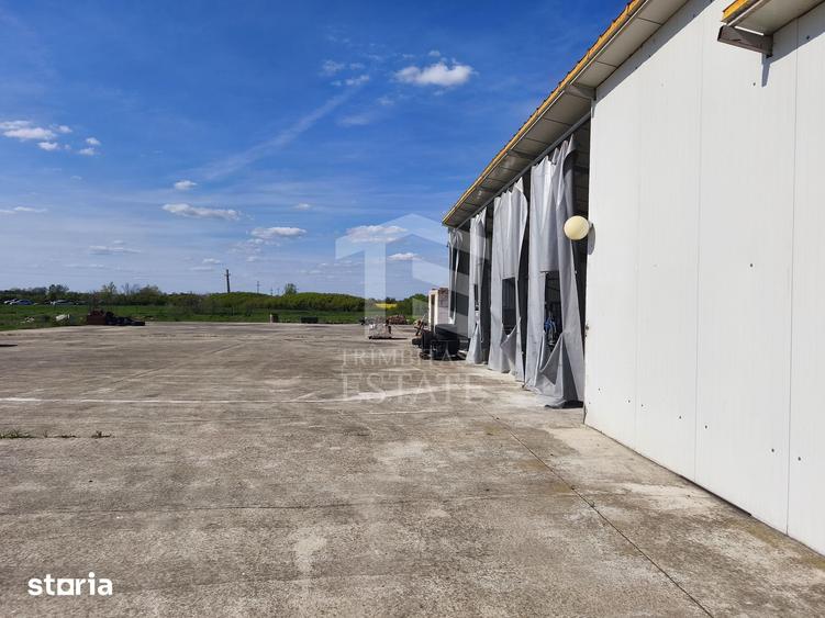 Casă cu 4 camere cu Teren 14340 Mp în Jebel