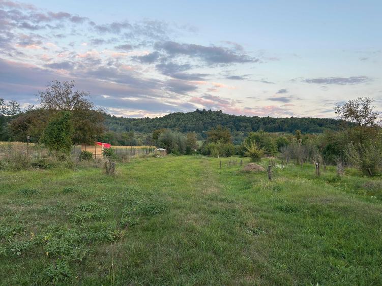 Teren de 2700 mp, în Brănești