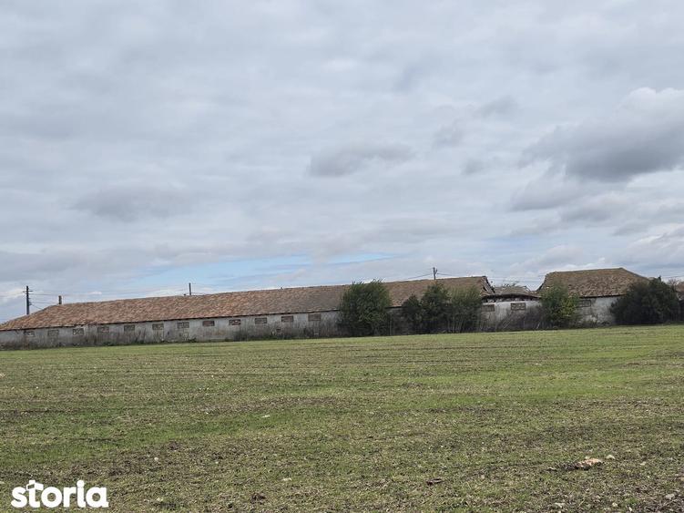 Comuna Amzacea- sat G.Scari?oreanu -Ferma zootehnica , teren 5,1ha - 14