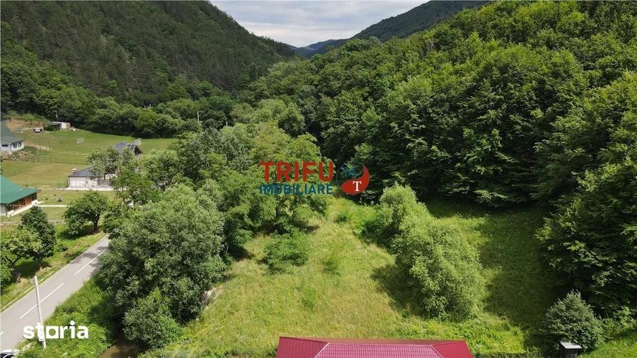 Teren de 4574 mp, în Poiana Galdei
