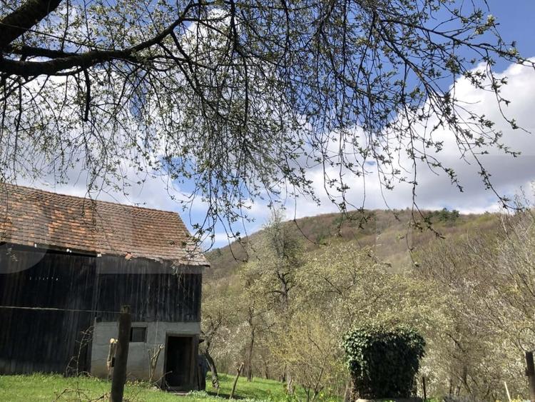 Casă individuală cu 3 camere cu Teren 3198 Mp în Zălan
