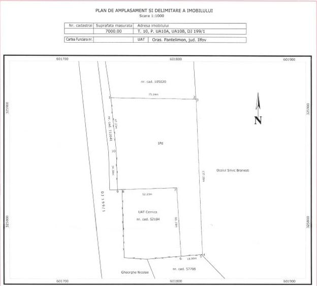 Teren Construcții intravilan de 10000 mp, în Cernica