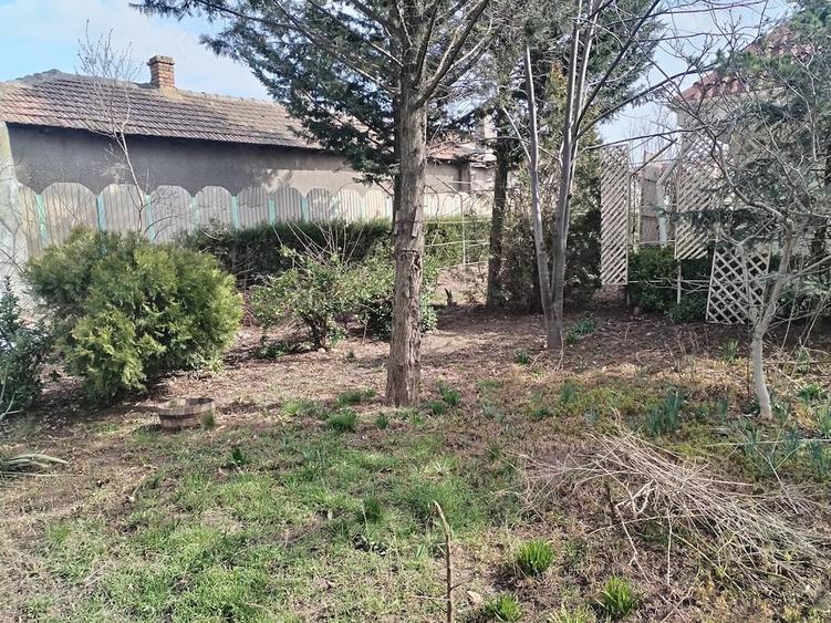 Casă cu 5 camere cu Teren 1016 Mp în Central