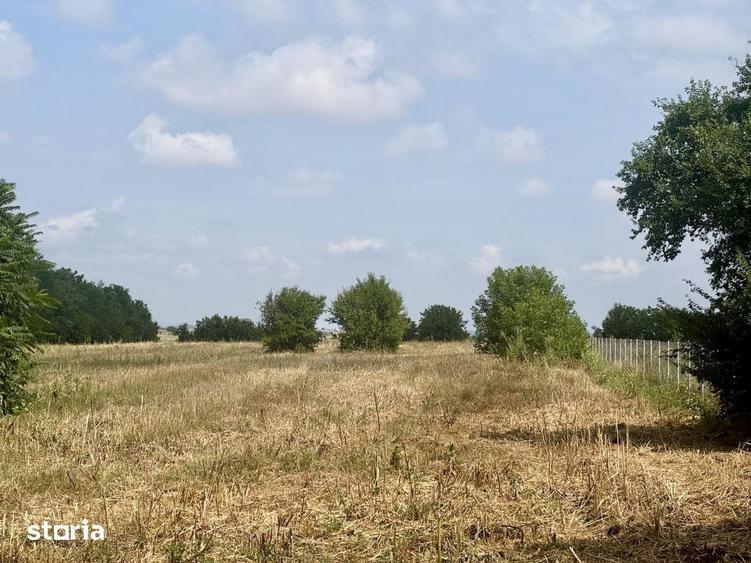 Casă cu 3 camere cu Teren 3000 Mp în Lipia