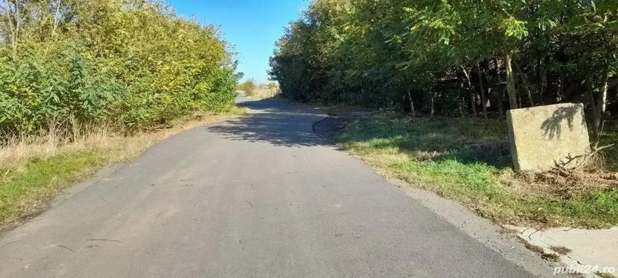 Teren de 4000 mp, în Cărpiniș