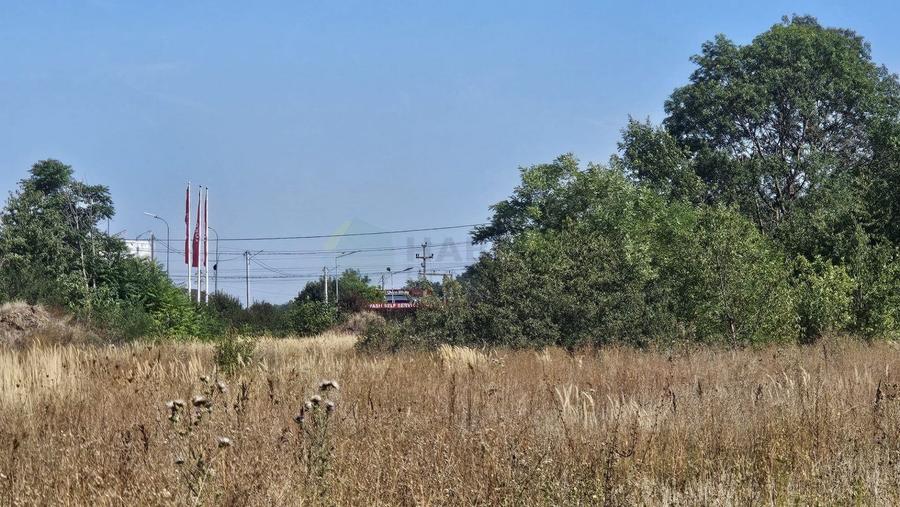 Teren agricol extravilan de 30700 mp, în Ciolpani