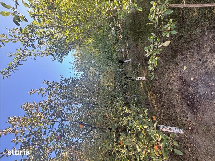Casă cu 1 camere cu Teren 1300 Mp în Valea Borcutului