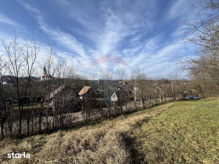 Teren de 34425 mp, în Moldovenești