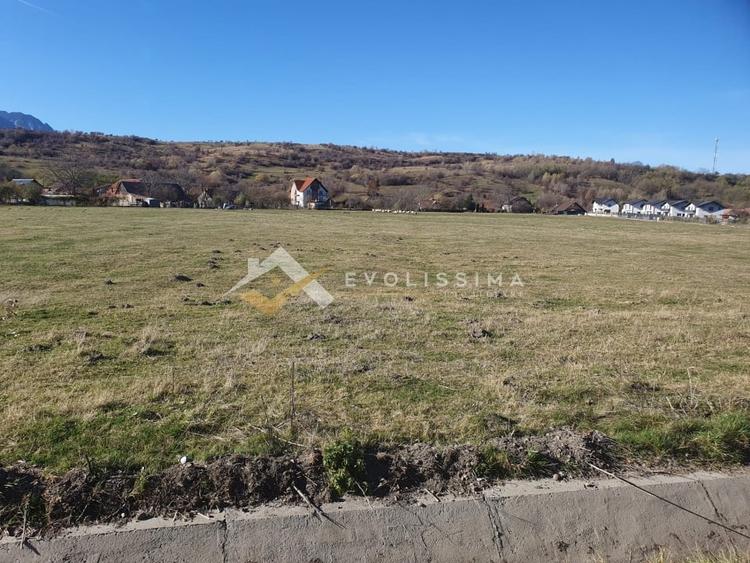 Teren Construcții intravilan de 10600 mp, în Bran
