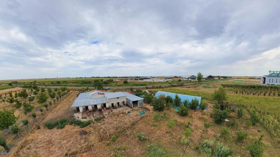 Teren de 36000 mp, în Iratoșu