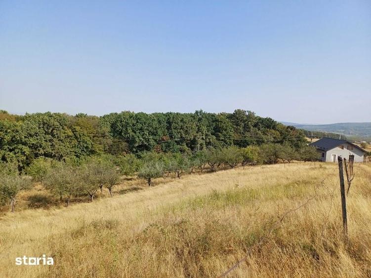 Teren de 25 mp, în Central