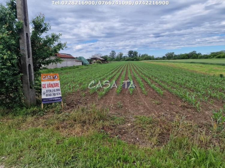 Teren Construcții intravilan de 7500 mp, în Bălești