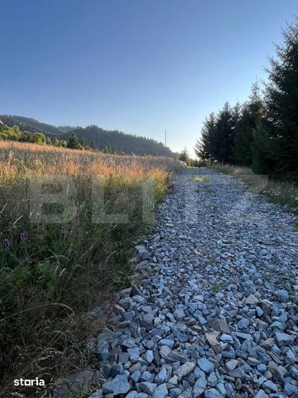 Teren de 1000 mp, în Central