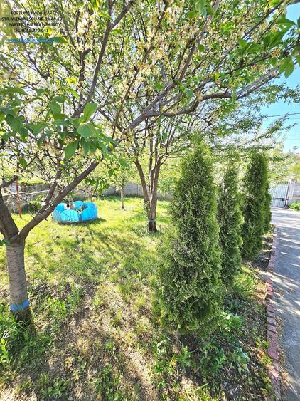 Casă cu Teren 1600 Mp în Ciritei