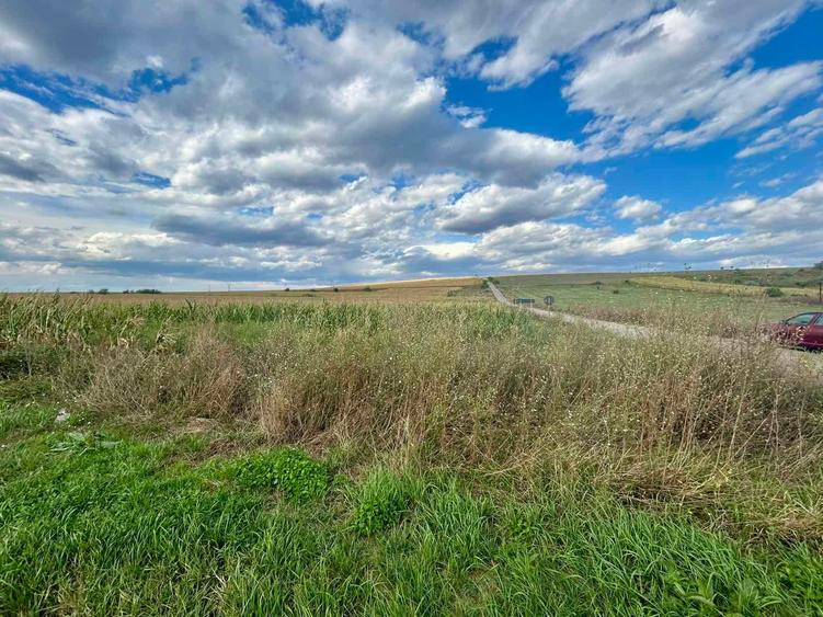 Teren agricol extravilan de 14980 mp, în Central