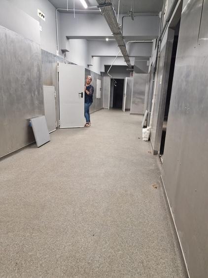 Spațiu comercial, de 1,526 mp, în Ștefan cel Mare