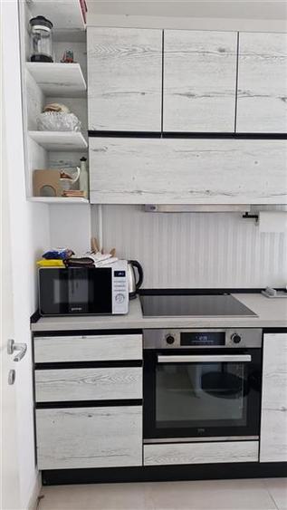Apartament 2 camere de inchiriat, Freya Home, Bucium - 4