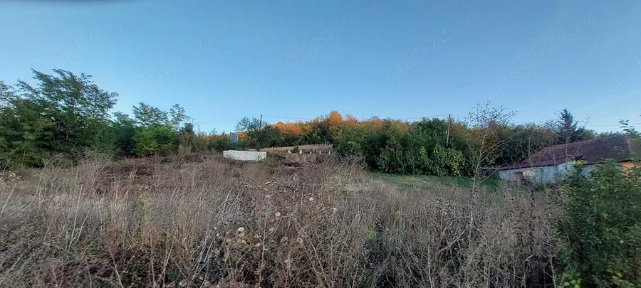 Teren de 12000 mp, în Crăiești