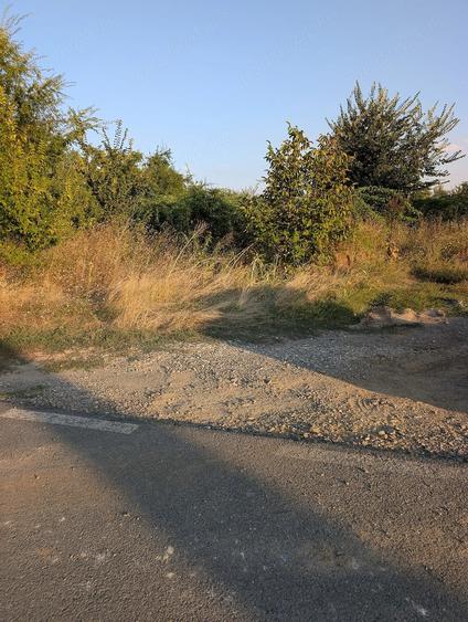 Teren intravilan 840 mp in Pasarea Brane?ti, langa Parkland - 3