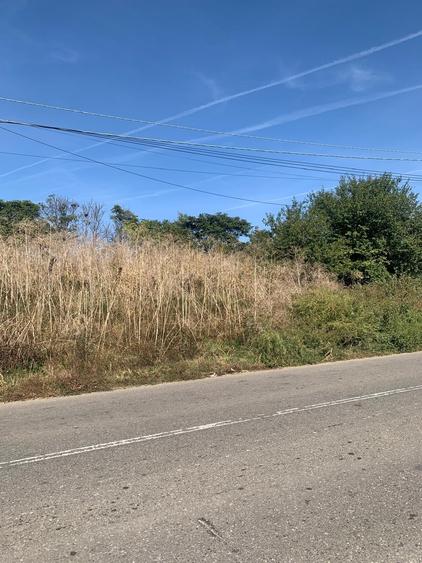 Teren Construcții extravilan de 15000 mp, în Petrăchioaia