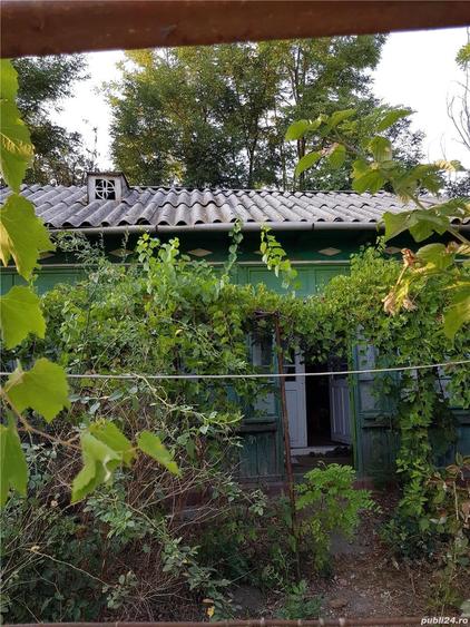 Casă cu 3 camere cu Teren 8212 Mp în Mircea Vodă
