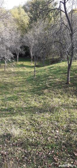 Teren de 5900 mp, în Vălișoara