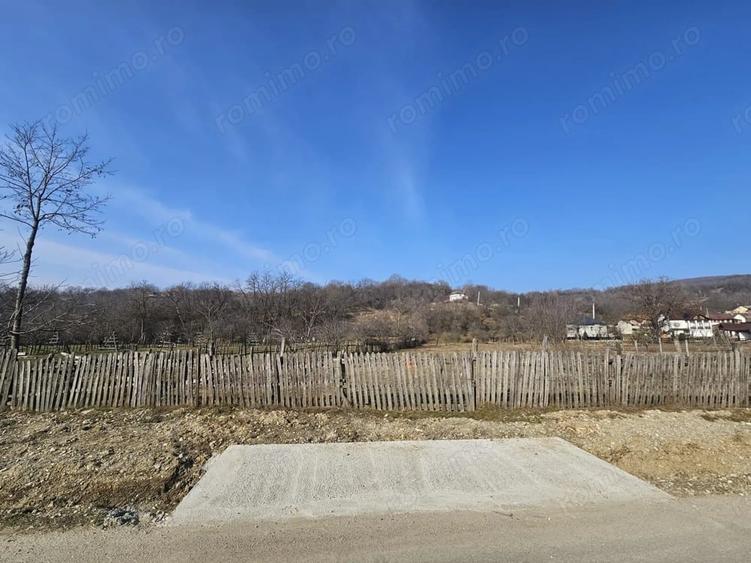 Teren de 2500 mp, în Berevoești