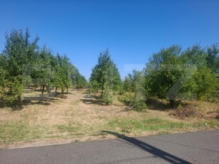 Teren Construcții intravilan de 2493 mp, în Cobiuța