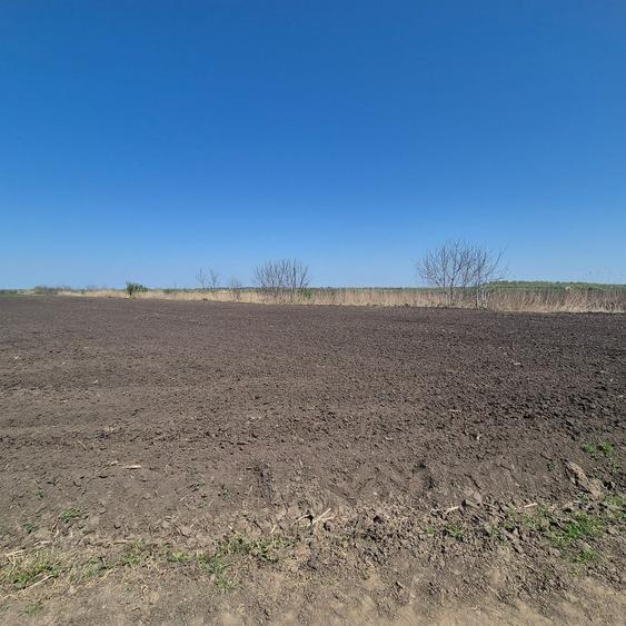 Teren agricol extravilan de 11961 mp, în Sitaru