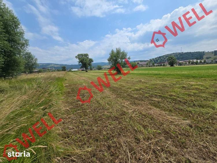 Teren de 2400 mp, în Barcani