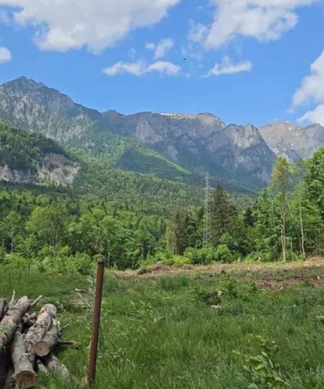 Teren de 1724 mp, în Nord