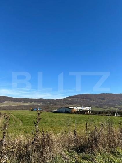 Teren Construcții de 2500 mp, în Exterior Sud