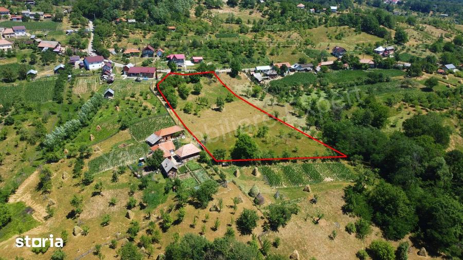 Teren de 6041 mp, în Cicănești