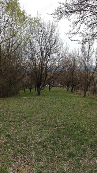 Teren în Romanești