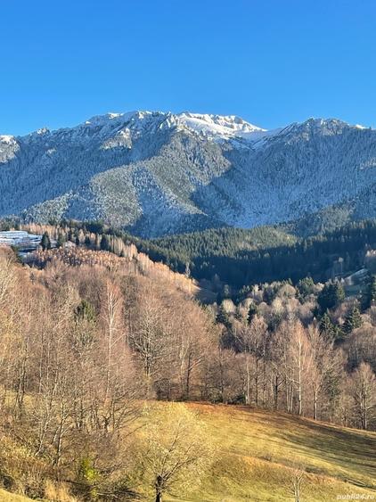 Teren de 10000 mp, în Bran