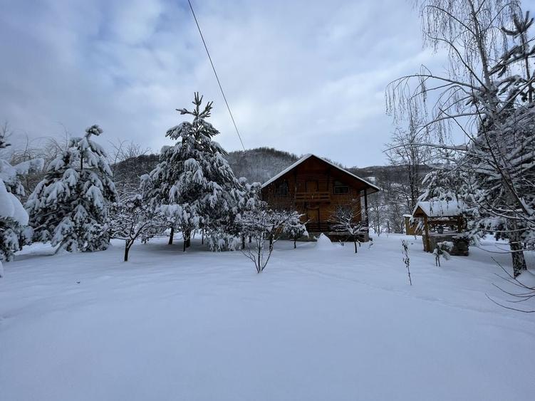 Cabana lemn langa rau, sat Costesti - 5