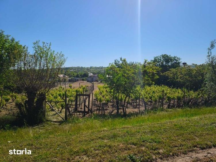 Casă cu 4 camere cu Teren 96 Mp în Peceneaga