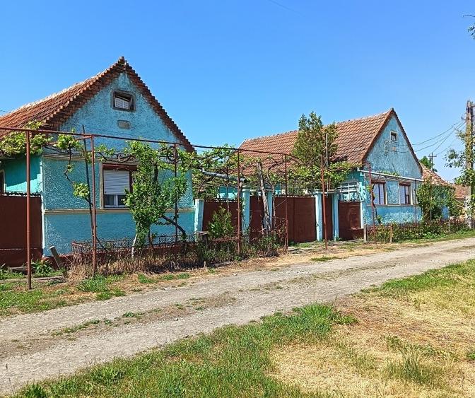Casă individuală cu 4 camere cu Teren 1924 Mp în Susag