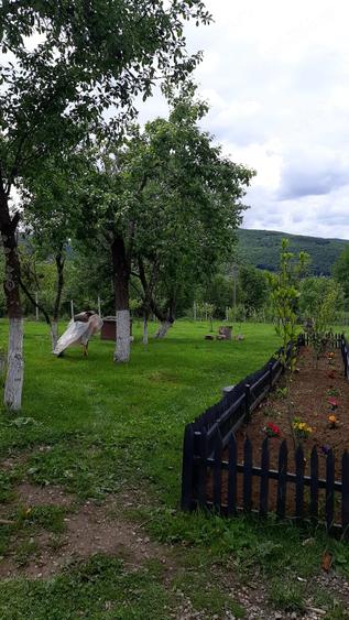 Casă cu 3 camere cu Teren 2931 Mp în Bălnaca