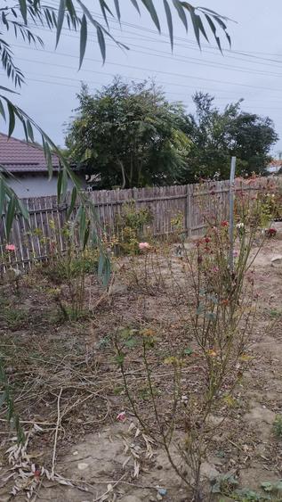 Casă cu Teren 85000 Mp în Coslugea
