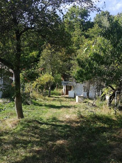 Teren în Central