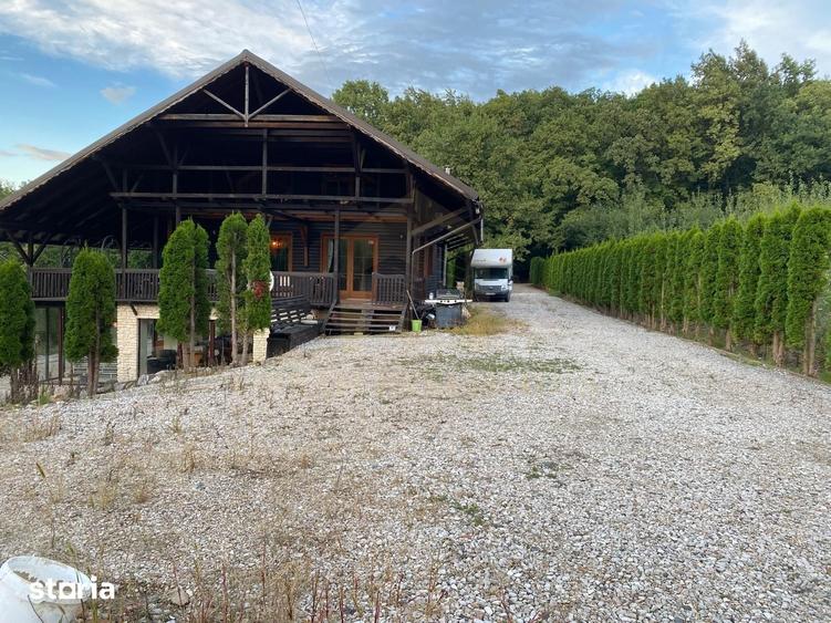 Vanzare teren 3000 mp, cabana, zona D D Rosca, Faget - 5