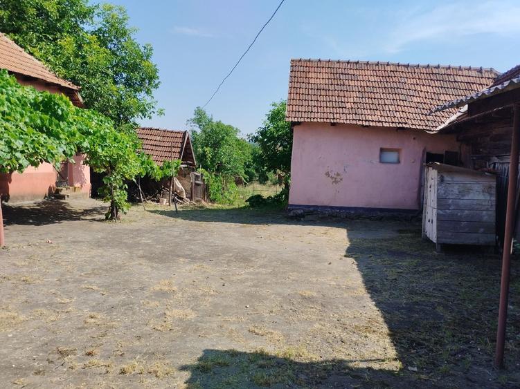Casa la Brusturi -Teren 1800 mp - 3
