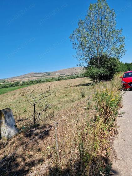 Teren de 2800 mp, în Iara